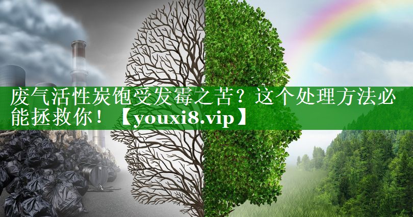 废气活性炭饱受发霉之苦？这个处理方法必能拯救你！