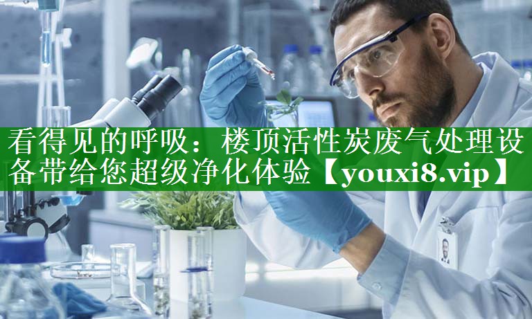 看得见的呼吸：楼顶活性炭废气处理设备带给您超级净化体验