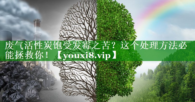 废气活性炭饱受发霉之苦？这个处理方法必能拯救你！