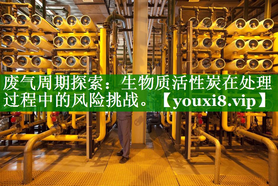 废气周期探索：生物质活性炭在处理过程中的风险挑战。