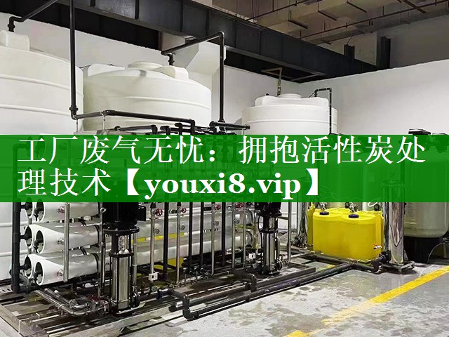 工厂废气无忧：拥抱活性炭处理技术
