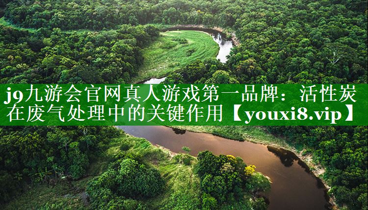j9九游会官网真人游戏第一品牌：活性炭在废气处理中的关键作用