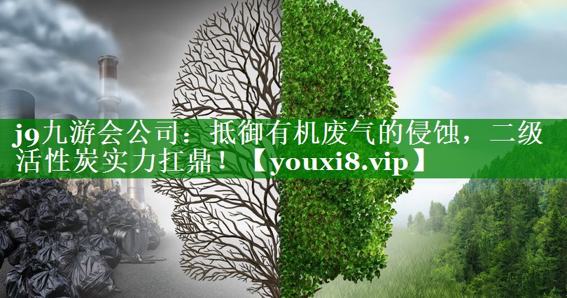 抵御有机废气的侵蚀，二级活性炭实力扛鼎！