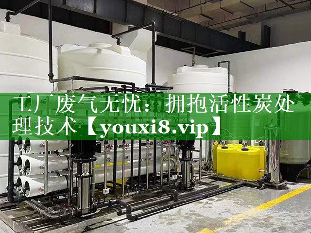 工厂废气无忧：拥抱活性炭处理技术