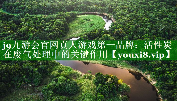 活性炭在废气处理中的关键作用
