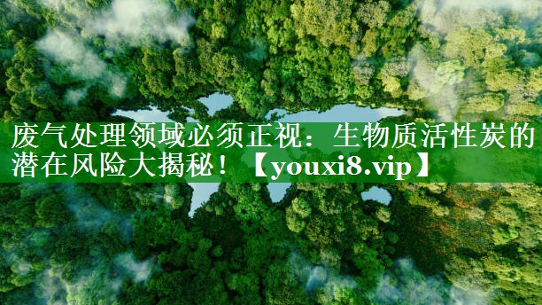 废气处理领域必须正视：生物质活性炭的潜在风险大揭秘！