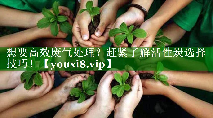 想要高效废气处理？赶紧了解活性炭选择技巧！