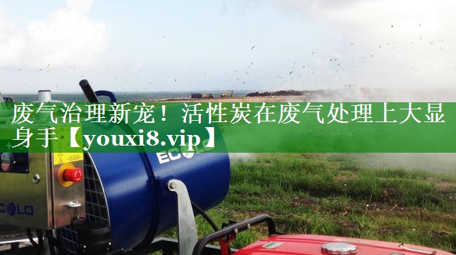 废气治理新宠！活性炭在废气处理上大显身手